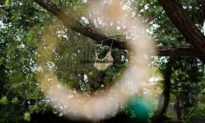 Cherry Tomatoes Studio